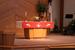 Installation of Pastor Tesfai Tesema