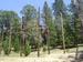 Junior High Camp 2005