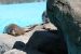 Marine World