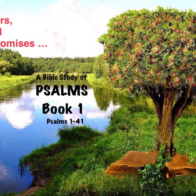 Sunday Morning Bible Study